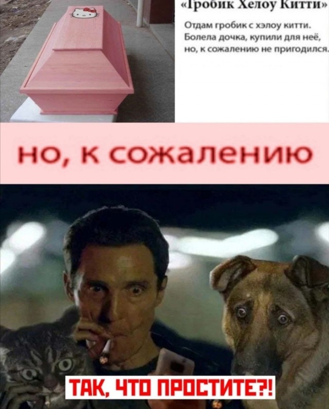 Забавные шутки и картинки из этих ваших интернетов