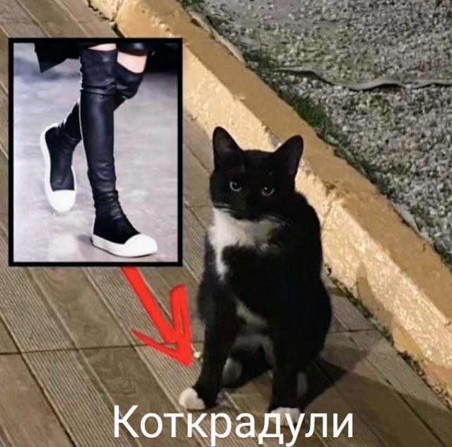 Немного картинок для настроения - 155