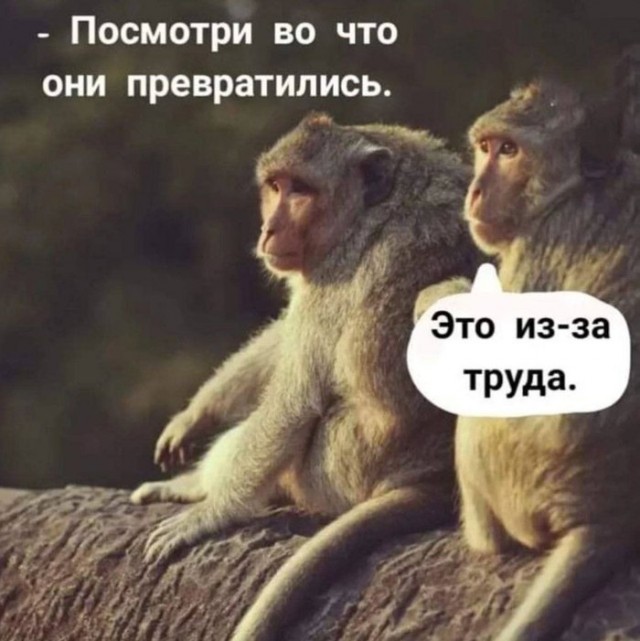 Нуштош 19.04.2023