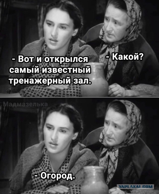 Сколько счас стоит писечка