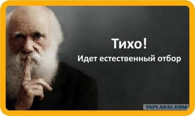 Теперь все зовут её - «Наташа-миллиметр»