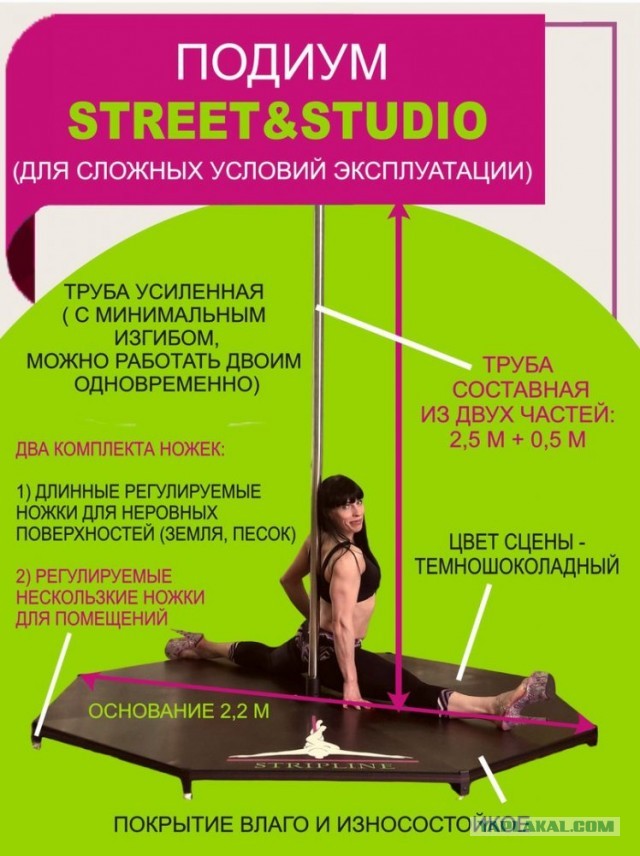 «А это что за кобыла?»