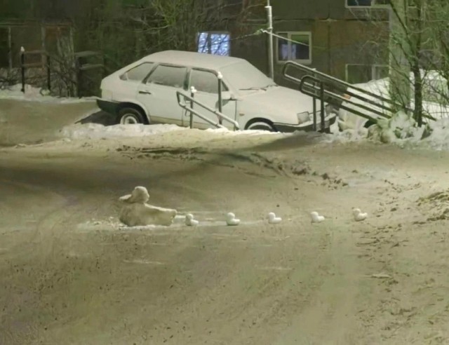 Так себе картинки 06.12.23