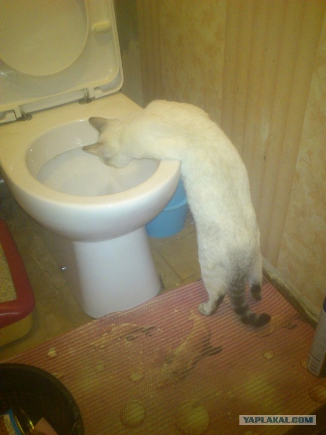 Почистил телефон