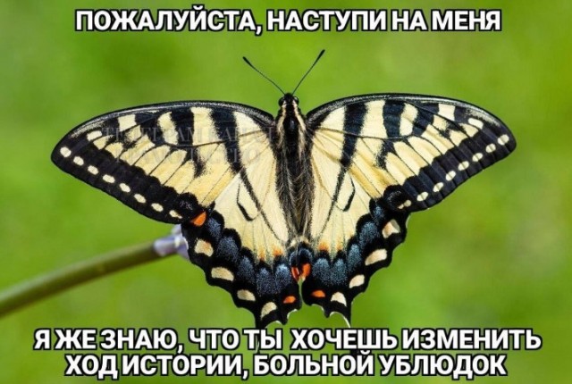Всего понемногу. От 14.01