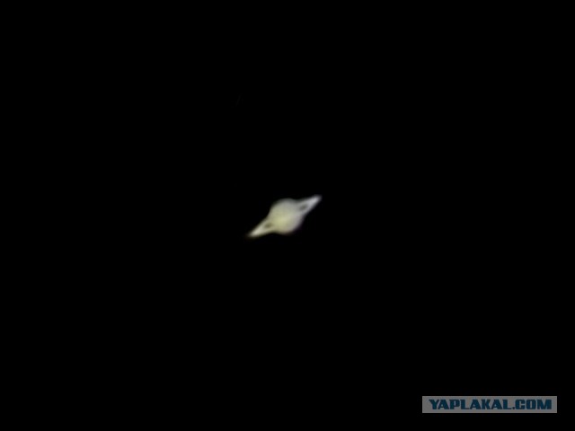 Первый раз увидел "вживую"