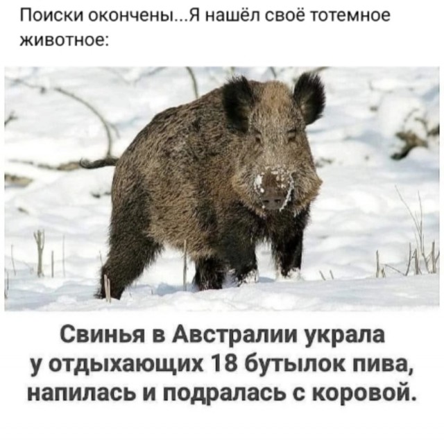Так себе картинки 17.02.24