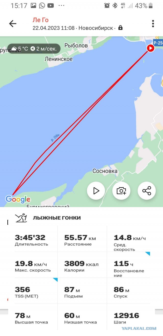 Беговые лыжи