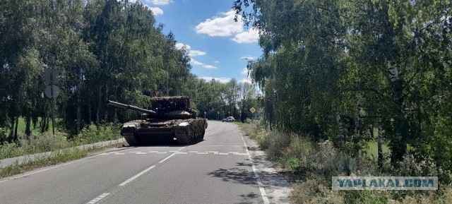 Танк наехал на «Ниву» в Белгородской области