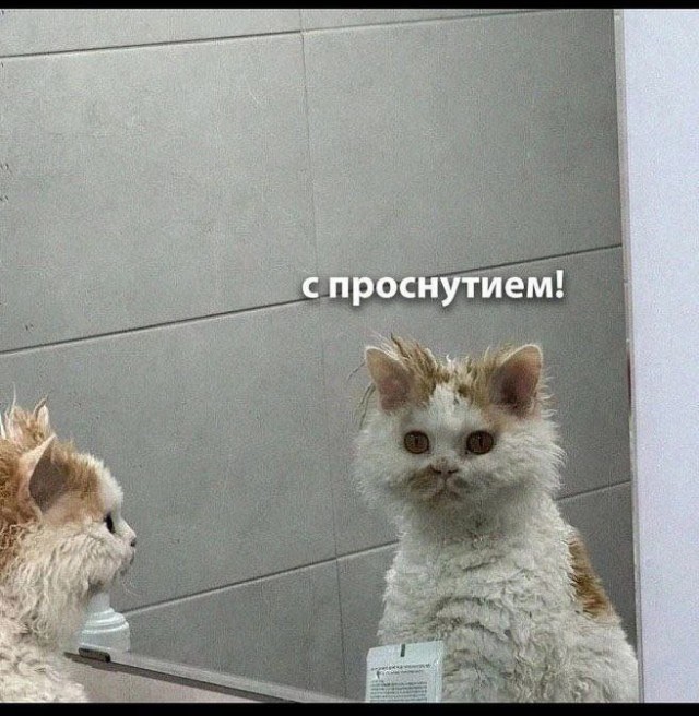 Всего понемногу. От 07.08