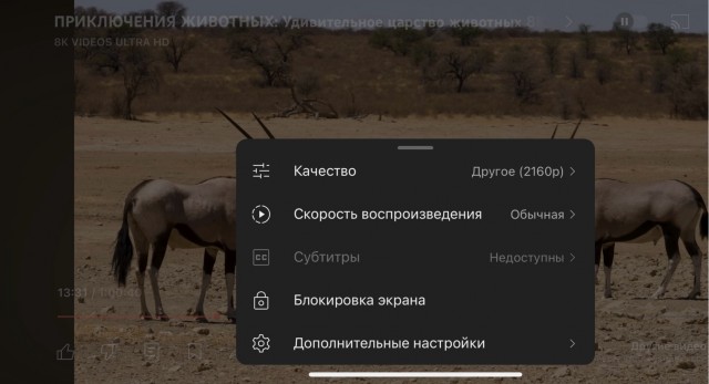 РКН обещает блокировку за инструкции по обходу замедления YOUTUBE