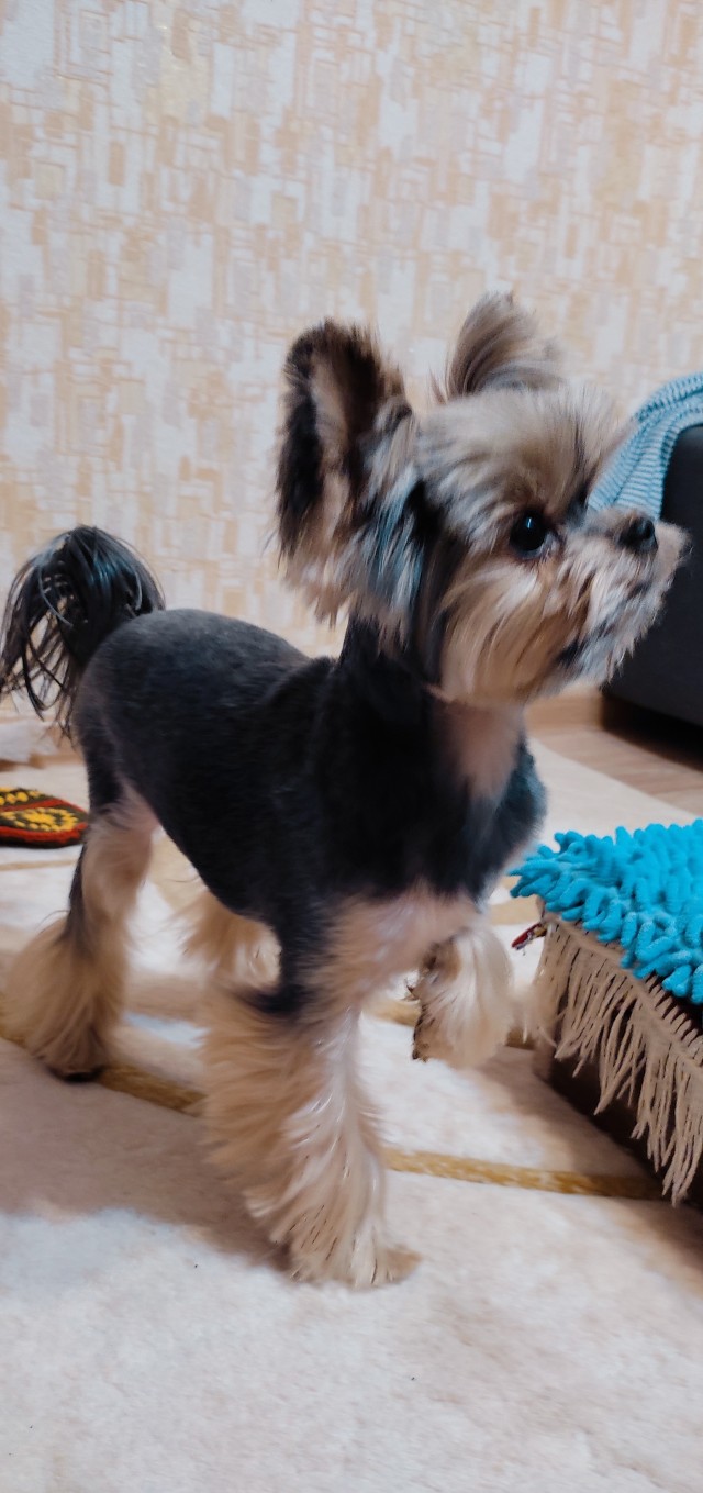 А у Даны д.р. Ей 10 лет!