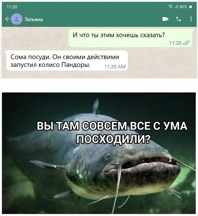 Завалялось тут случайно немного забавных картинок
