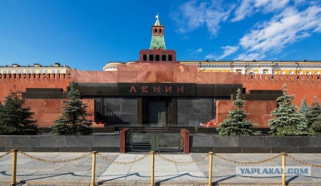 "Дура и просто не понимает"