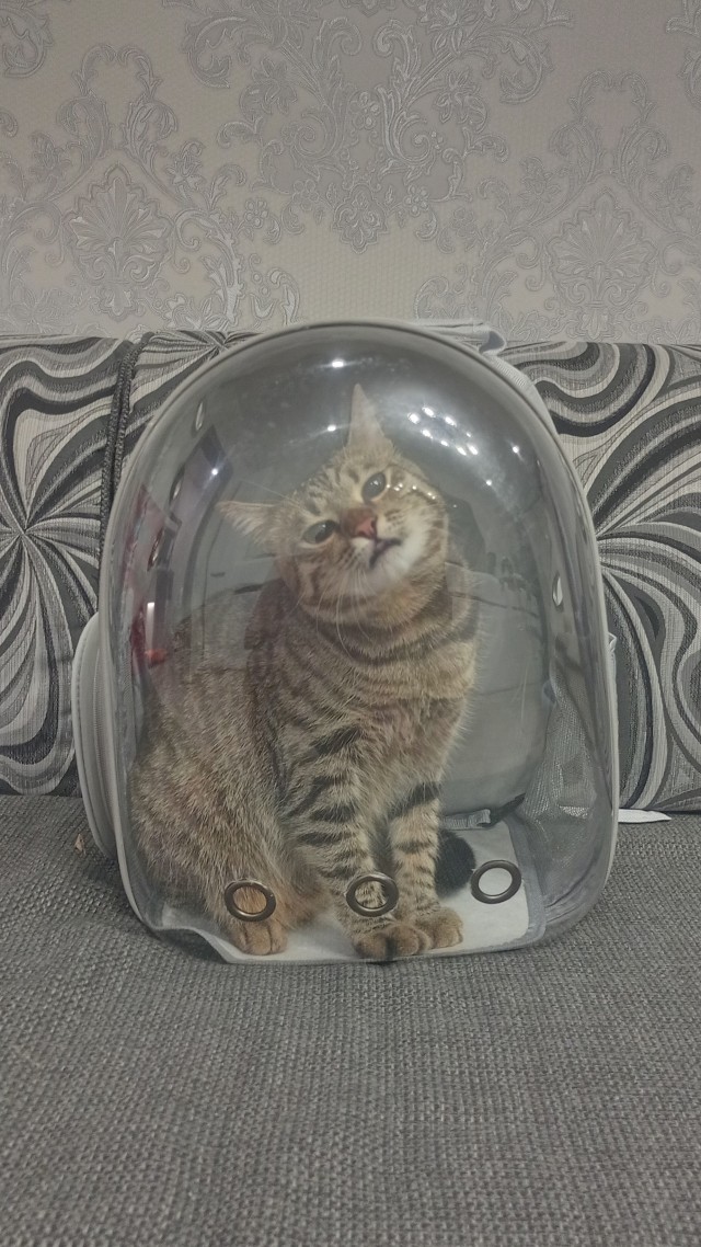 Космонавты в метро