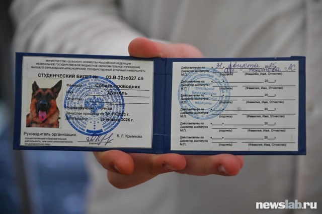 В Красноярске овчарка 2,5 часа слушала Чайковского на концерте