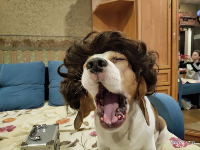 Дратути
