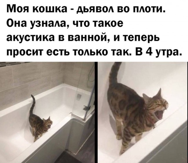 Завалялось тут случайно немного забавных картинок