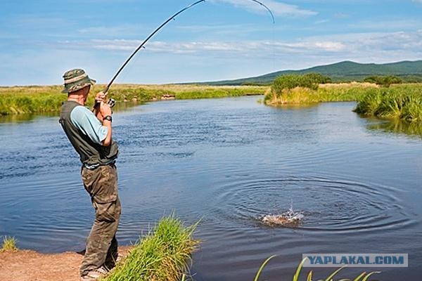 Товарищи, посоветуйте новичку по рыбалке.