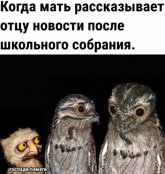 Завалялось тут случайно немного забавных картинок