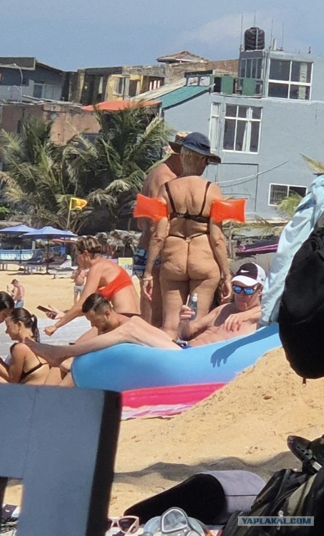 Норм шорты?