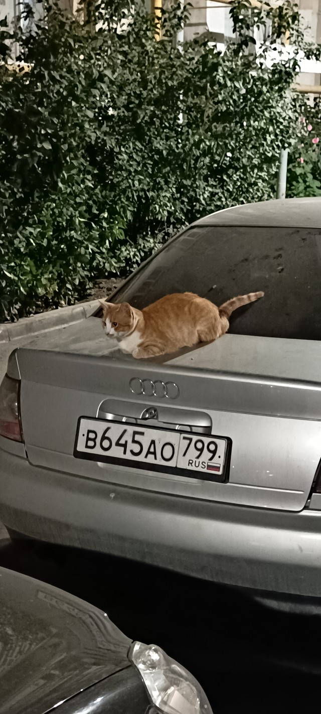 Вторник в деревне