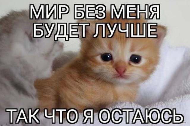 Картинки для деградации 43 (разной степени свежести)