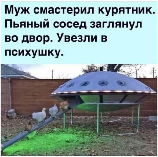 Так себе картинки 24.09.25