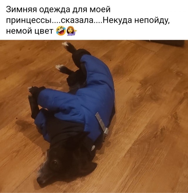 Четверговые картинки