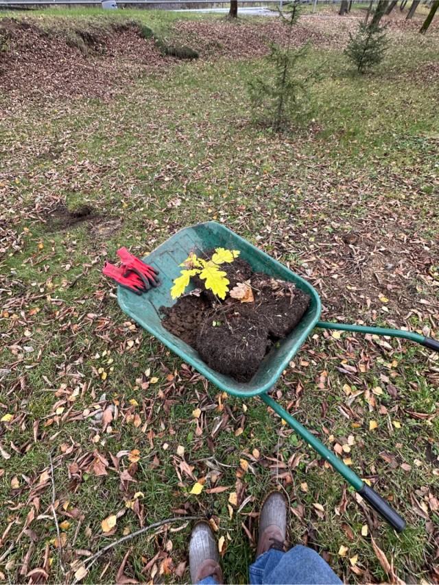 я опять за советом ..