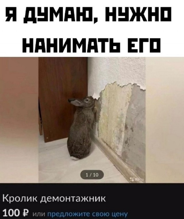 Так себе картинки 30.10.25