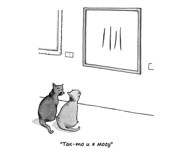 Котик потерялся