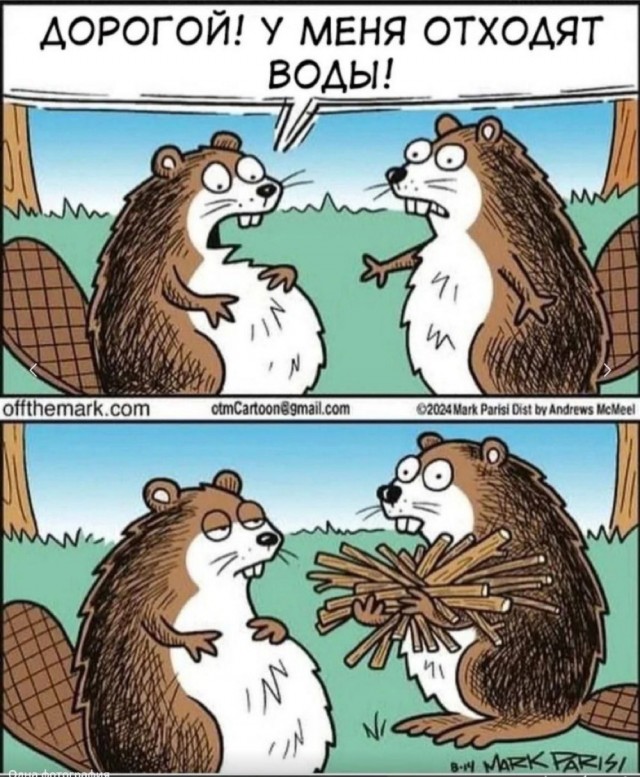 Среды картинки