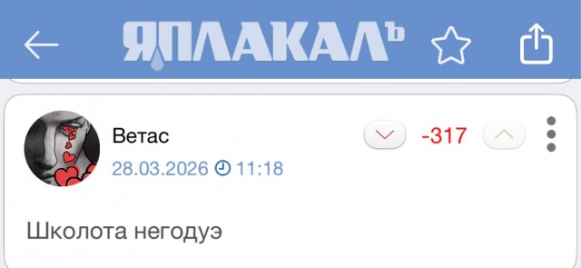 Участников акций «в защиту интернета» будут задерживать