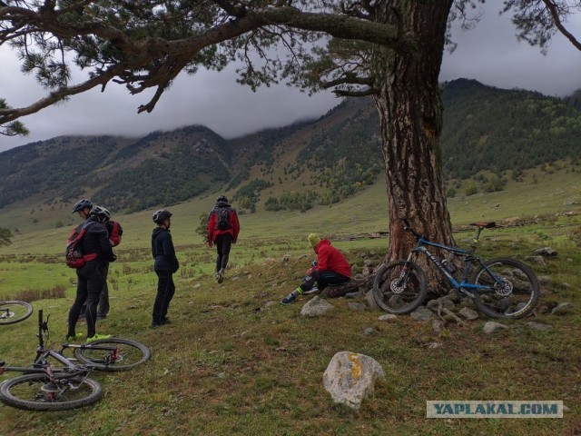 Выбираю велосипед для прогулок
