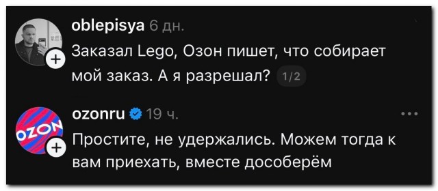 Озон собирает Лего⁠⁠