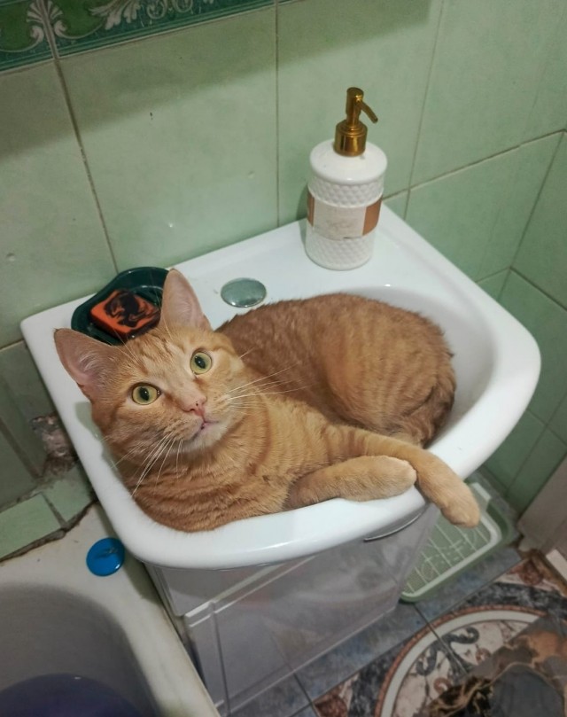 Котское.