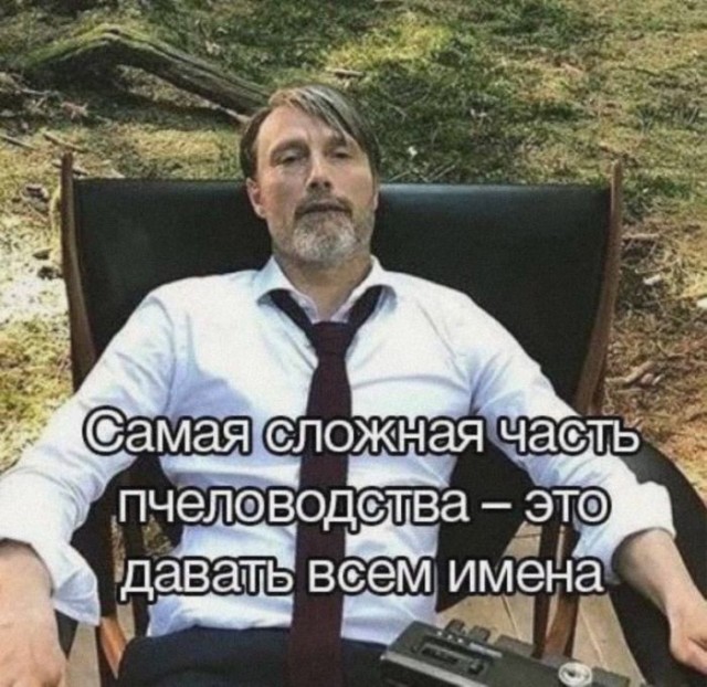 Веселые картинки в пятницу (31.07)
