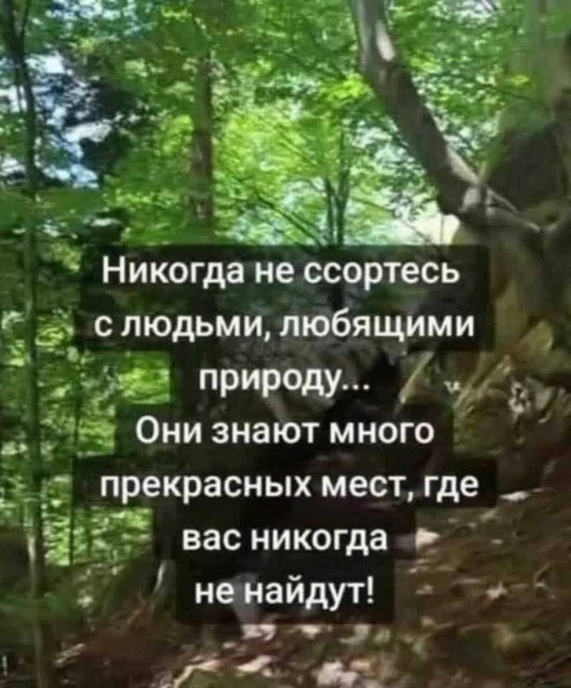 Картинки для деградации 251 (разной степени свежести)