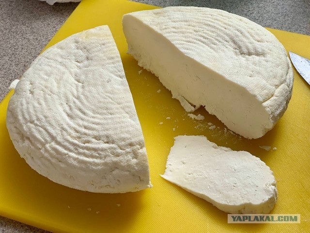 Адыгейский сыр (без сыворотки)