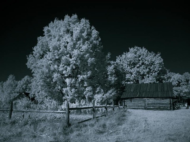 Что такое инфракрасная фотография.