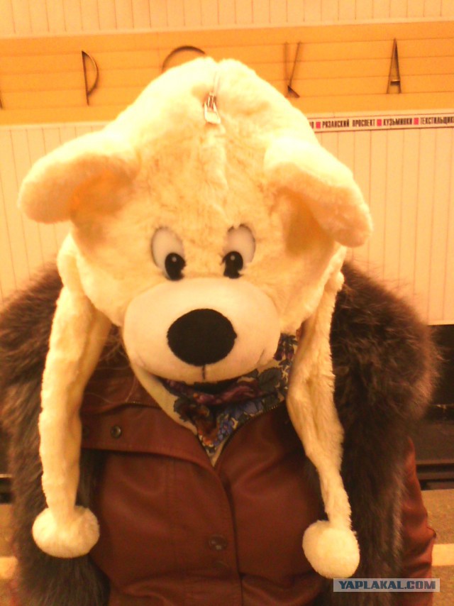 Решил выложить свои приколы