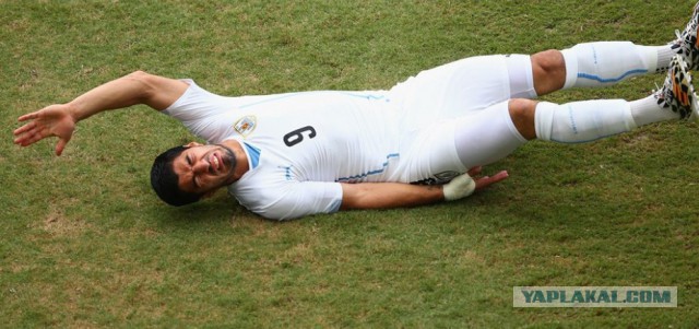 Чемпионат Мира 2014 Бразилия