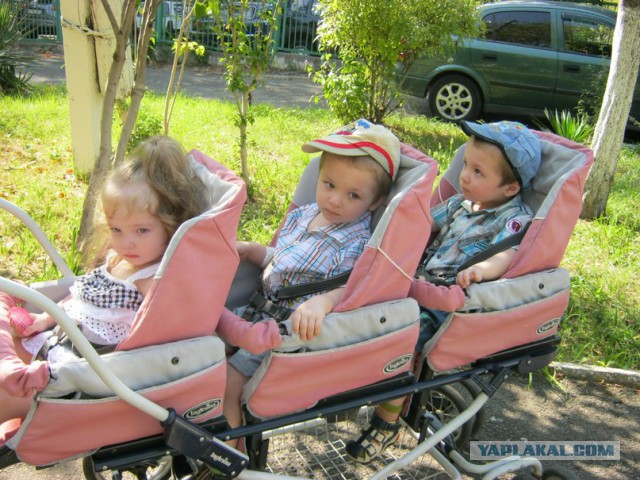 Из Донбаса