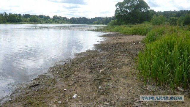 Сплав: река Мера, байдарка, женщина, собака.