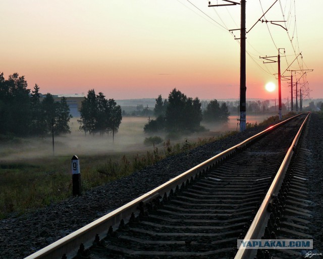 Хочу в Россию.