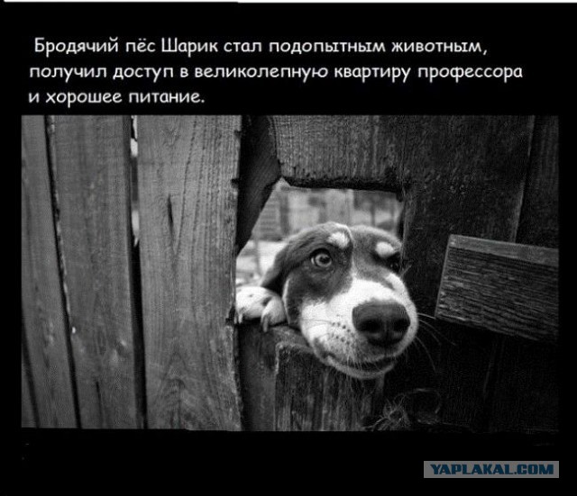 20 фактов обо всем