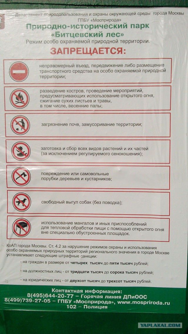 Дружелюбные собаководы