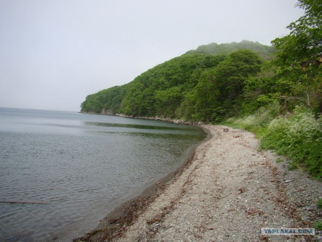 Китайские пляжники