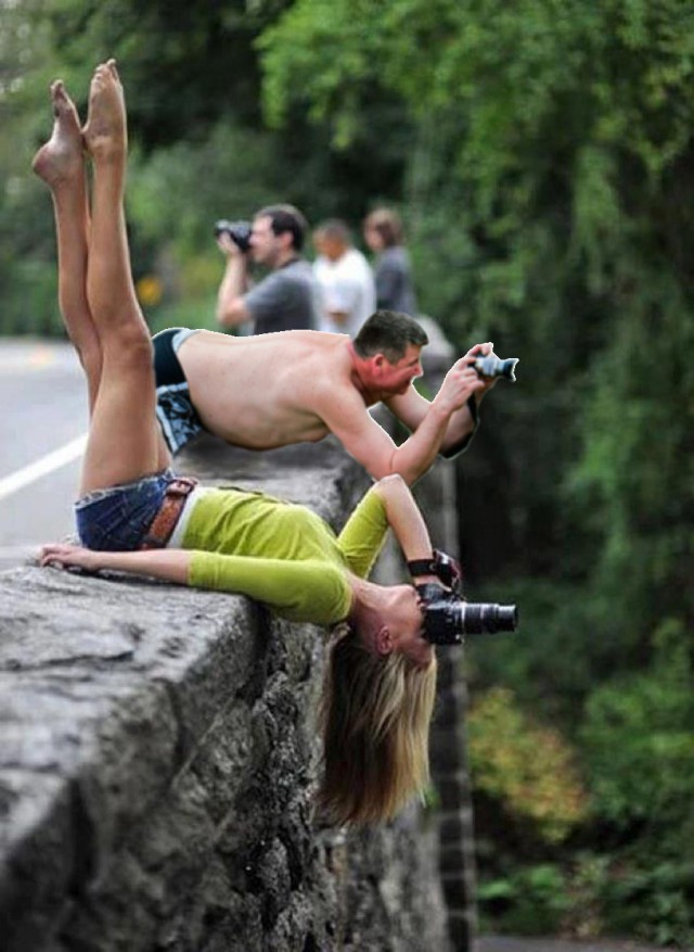 Жаба: Фотолюбитель